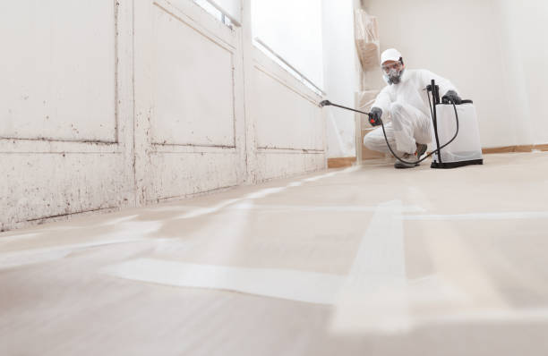 24/7 Emergency Black Mold Remediation experts in Tacoma, WA